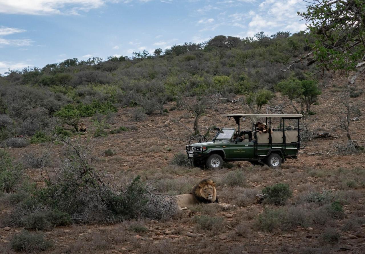 Kuzuko Lodge Addo Buitenkant foto