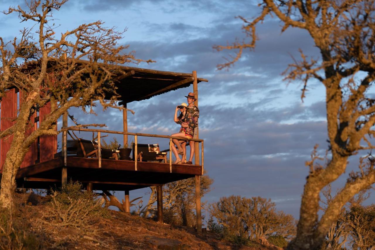 Kuzuko Lodge Addo Buitenkant foto