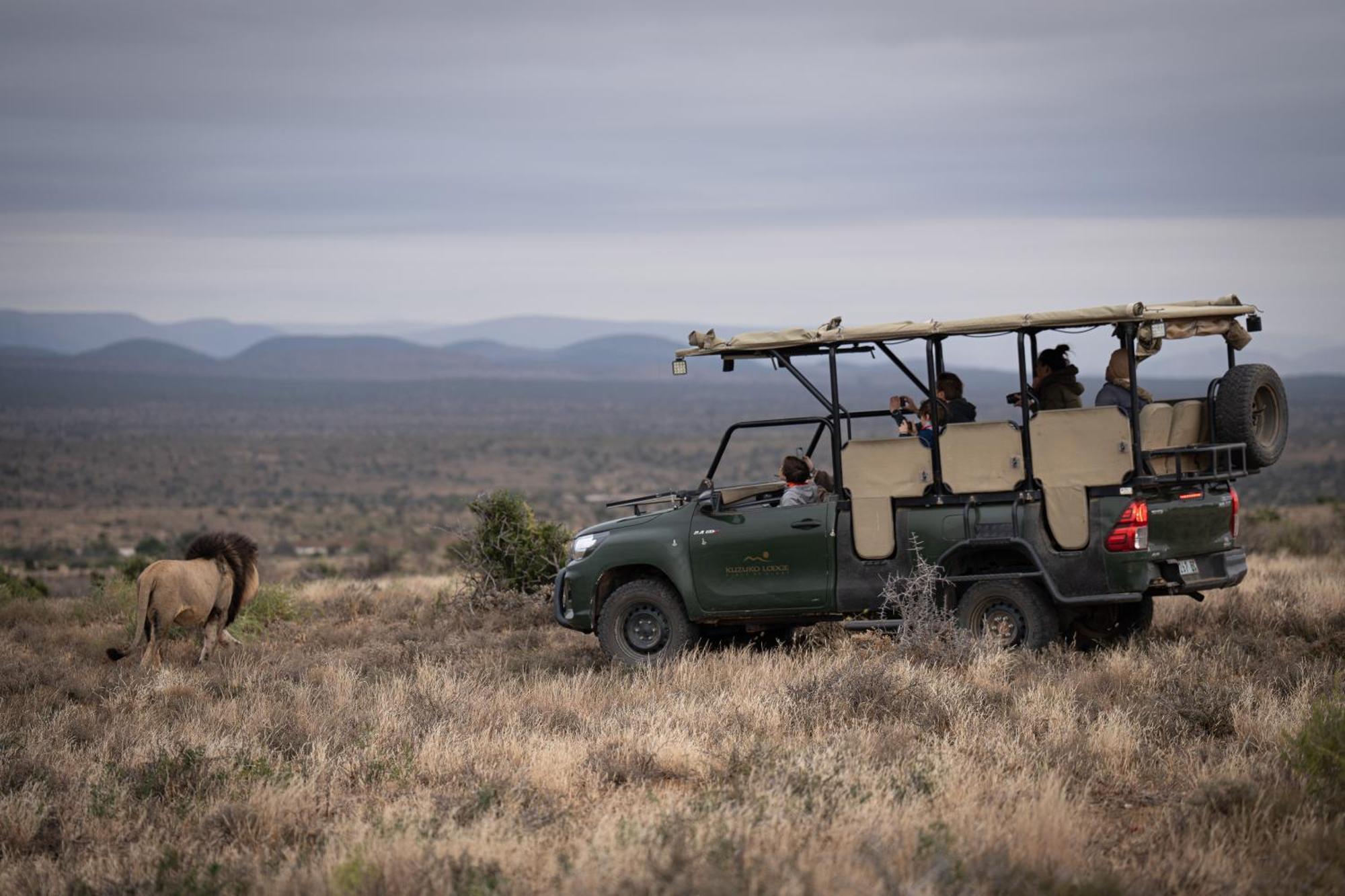 Kuzuko Lodge Addo Buitenkant foto